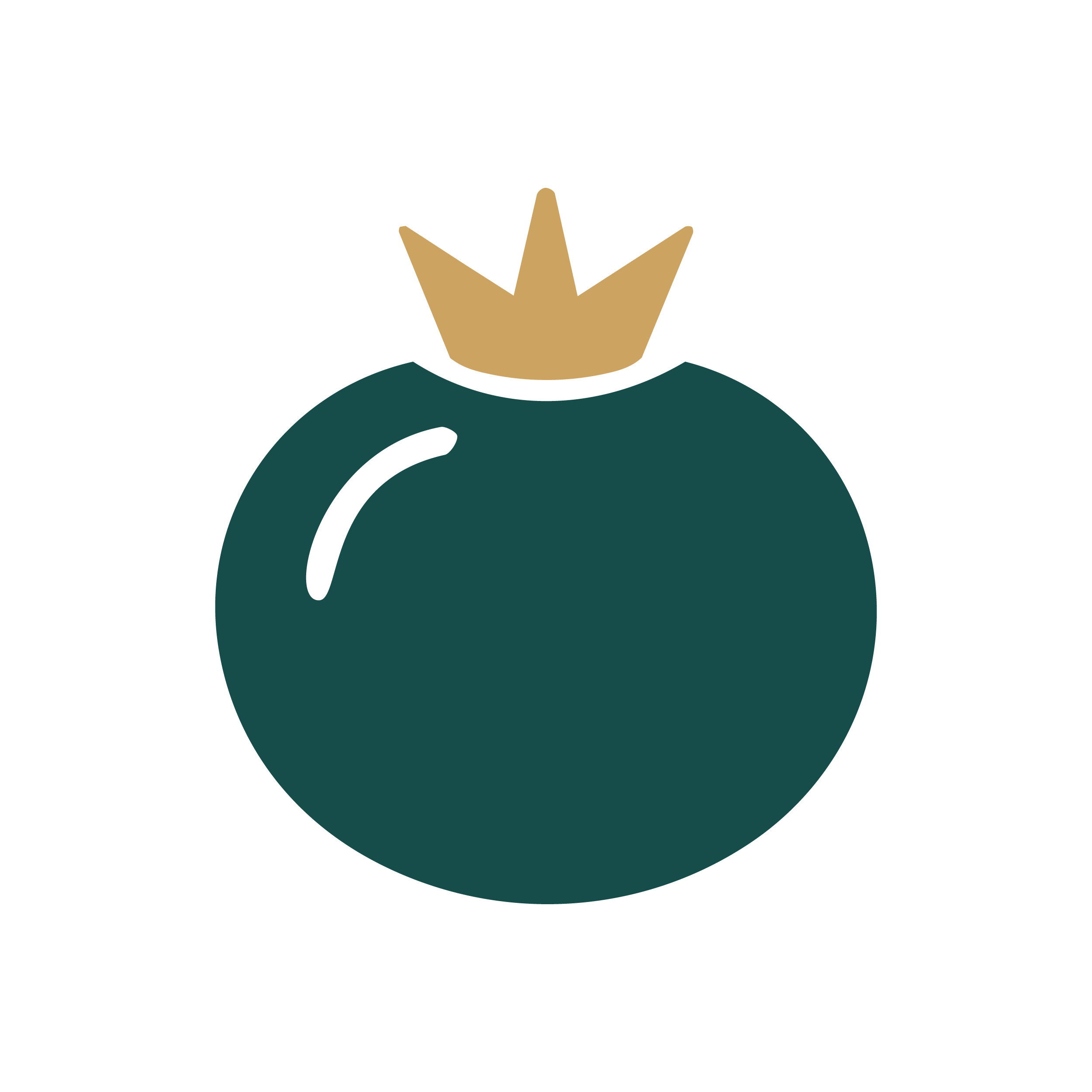 King Tomato